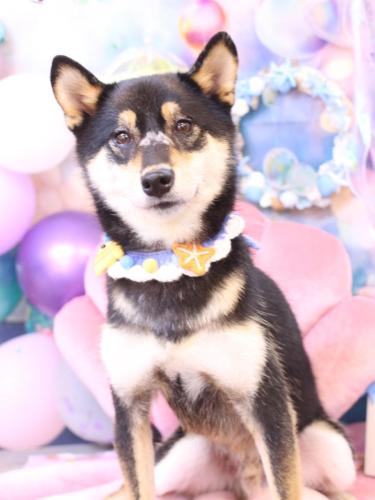 20240827ソラくん